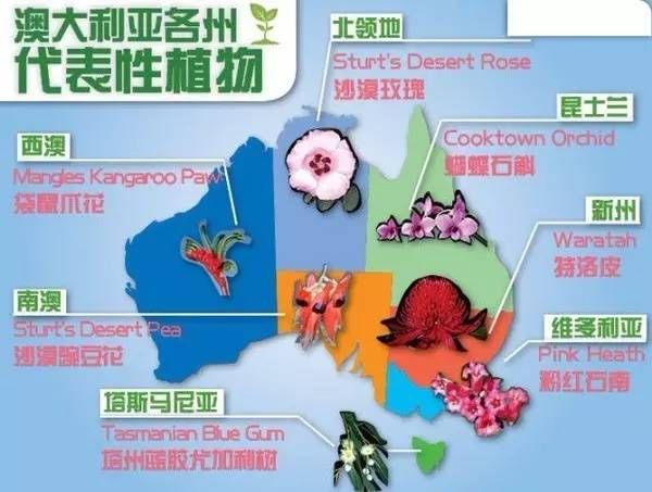 14张图,全面了解澳洲这个国度!