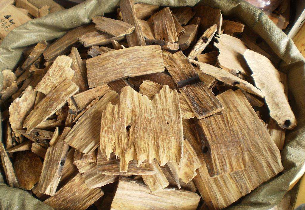 去澳洲,建议你带这些常用药