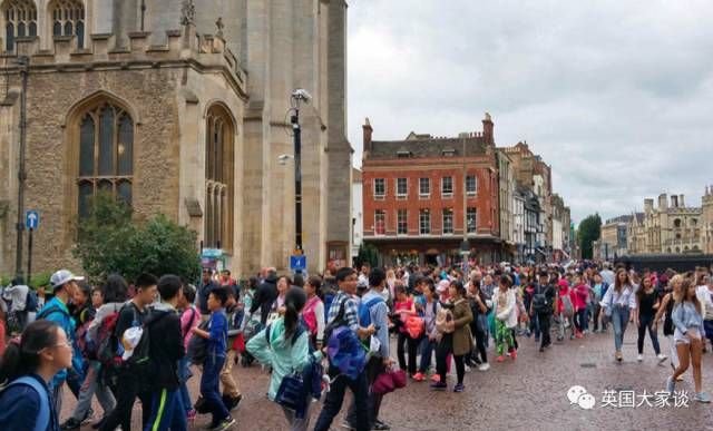 【留学焦点】如此夏令营,真的对留学申请有帮助吗?