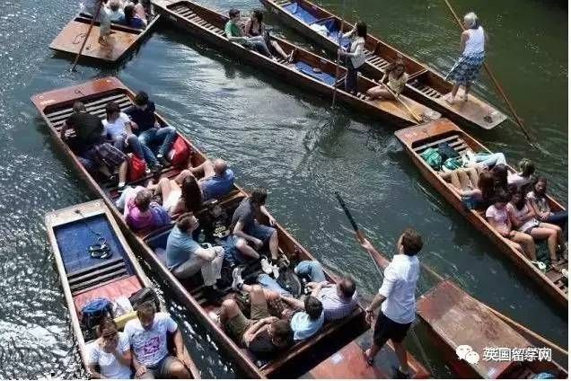 【留学焦点】如此夏令营,真的对留学申请有帮助吗?