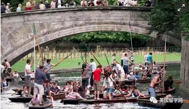 【留学焦点】如此夏令营,真的对留学申请有帮助吗?