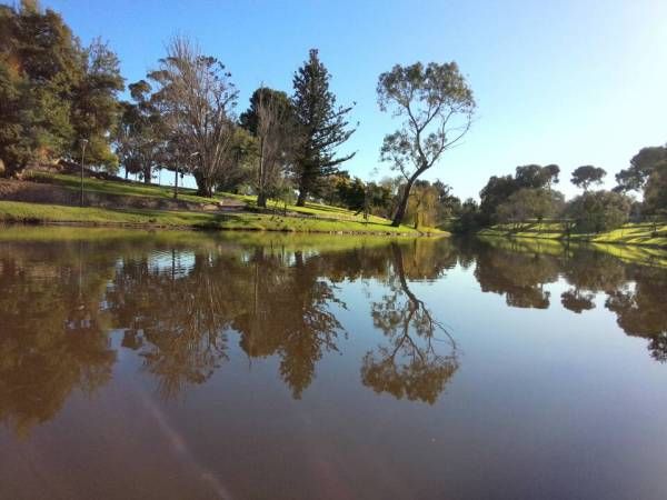 【八大名校介绍】阿德莱德大学——移民加5分