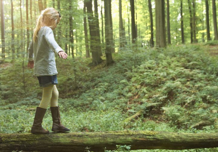 美国诗人:致我们终将远离的子女