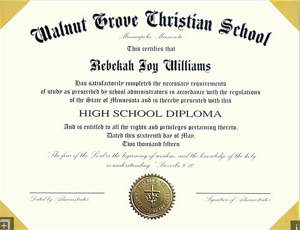 学习AP课程，该去国际班还是美国高中？