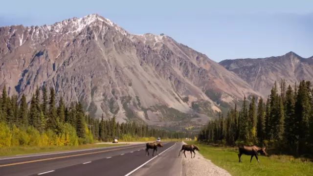 在美国收入多少算中产?附各留学专业毕业起薪