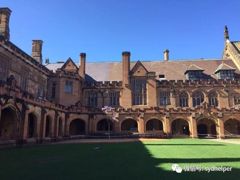 悉尼的蓝花楹美景,错过了就又要等一年了!