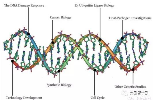 【生物医学专业】美国政府如何支持生物医学创新?