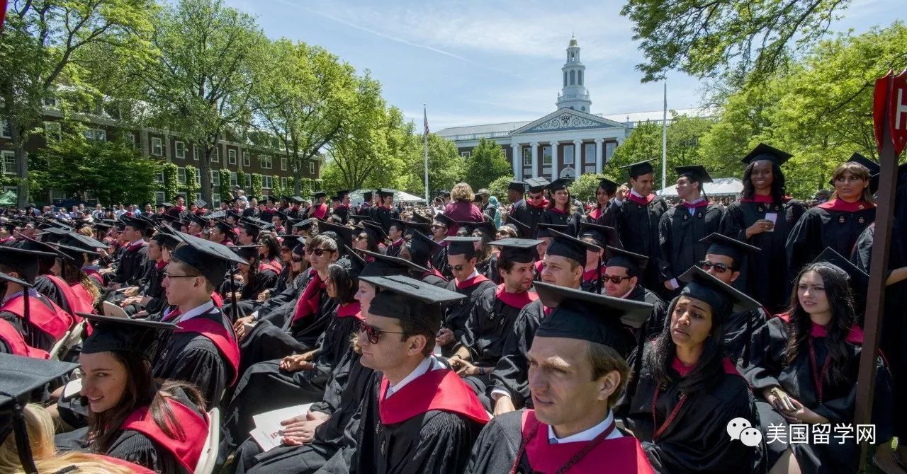 上了名校才知道,人和人的差距比人和狗的都大