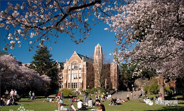 华盛顿大学“满洲“学生奖学金引争议，学校致歉