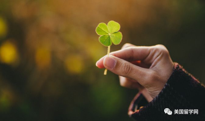 【本科留学申请】美本史上最惨烈申请季落幕,有什么规律可借鉴?