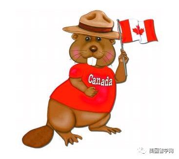 留学高考双保险| 放心考试,国外名校都在等着你!