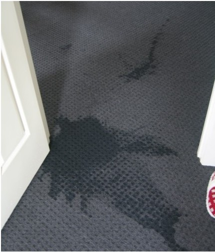 澳洲留学租房注意