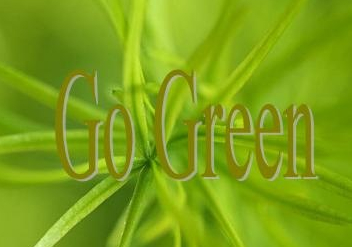 【香港留学】恭喜S同学获香港城市大学博士录取